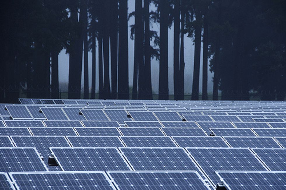 Even Red States Can’t Ignore Rising Green Economy