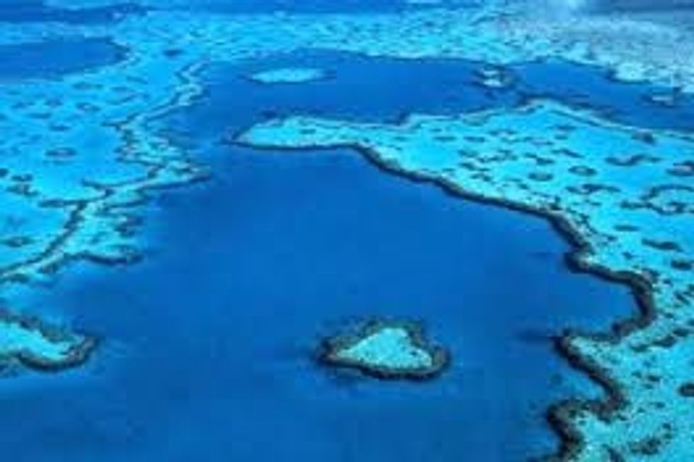 Wither The Great Barrier Reef