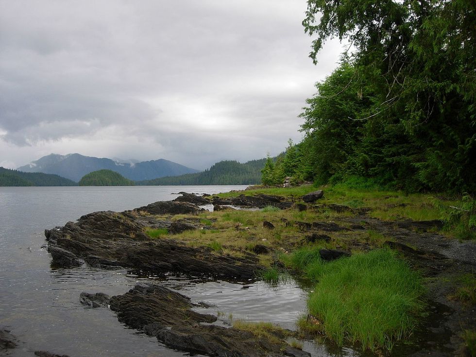 Coalitions Sue Forest Service To Block Alaska Old-Growth Timber Sale