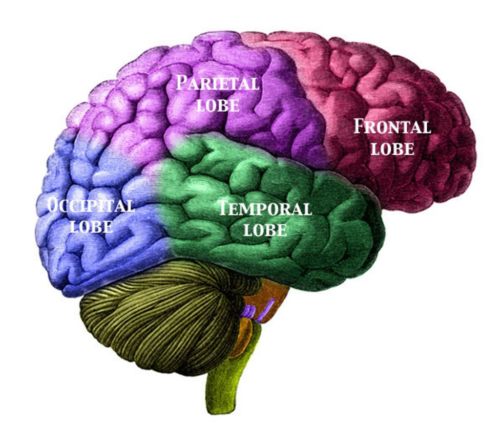 New Autism Study