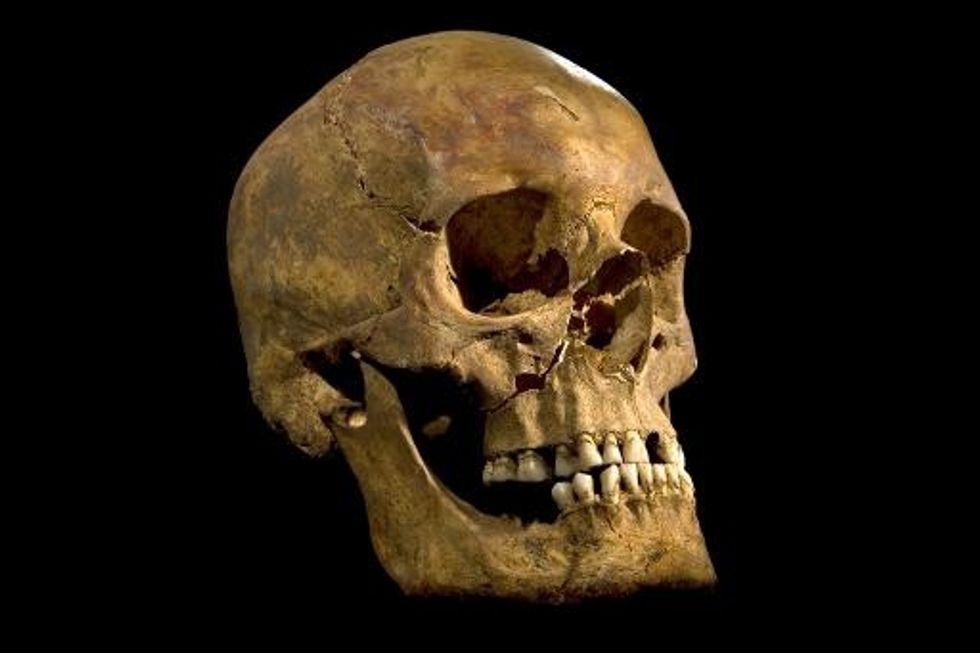 Forensic Sleuths Sketch Richard III’s Brutal End