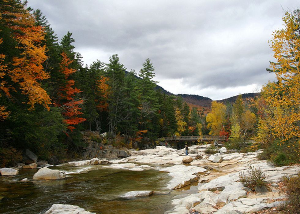 Autumn Foliage Drives