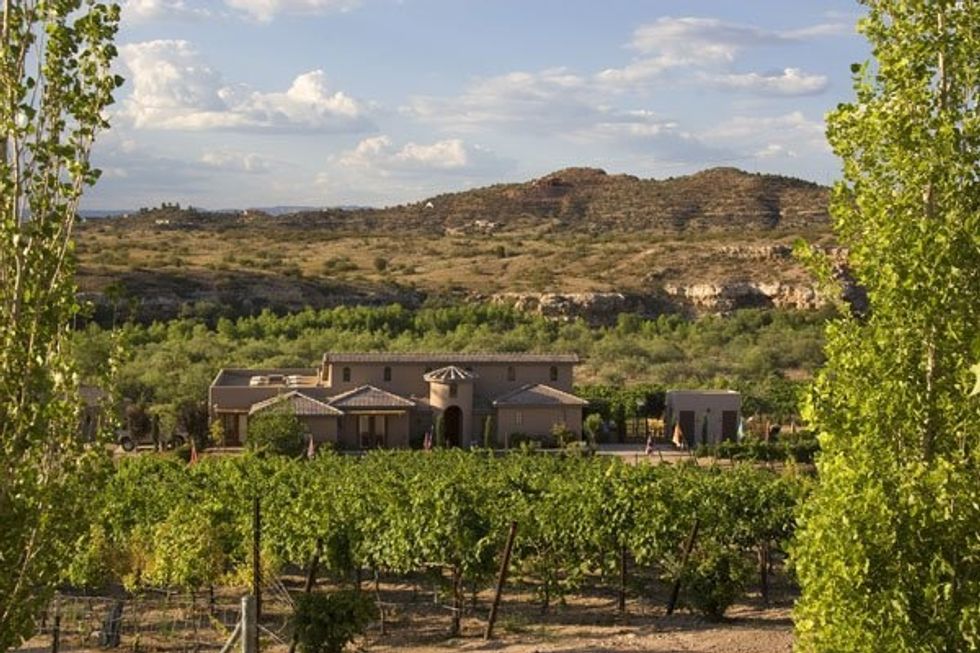 Wine Country: Arizona and Virginia