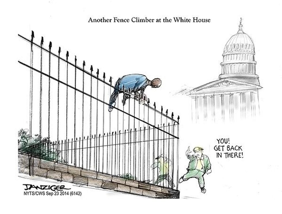 Another Fence Climber At The White House