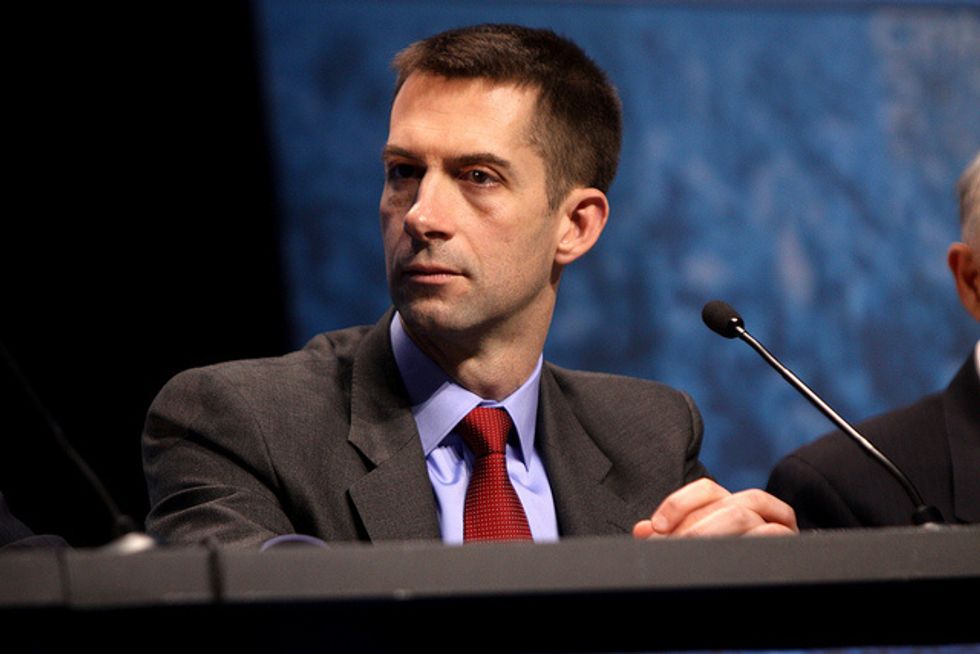 Tom Cotton’s Bumbling Campaign Just Might Win