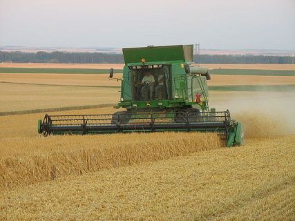 How Putin's War Is Emptying The World's Bread Baskets