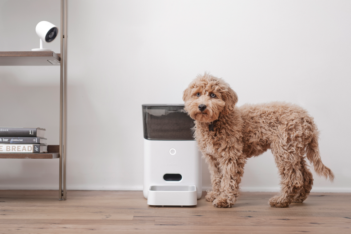 Petnet SmartFeeder