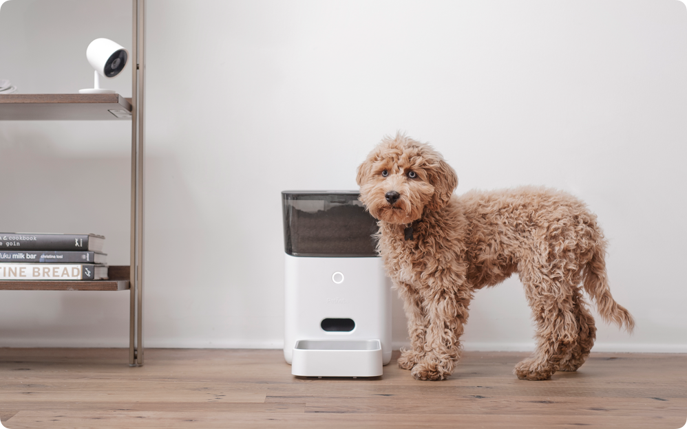 Petnet SmartFeeder