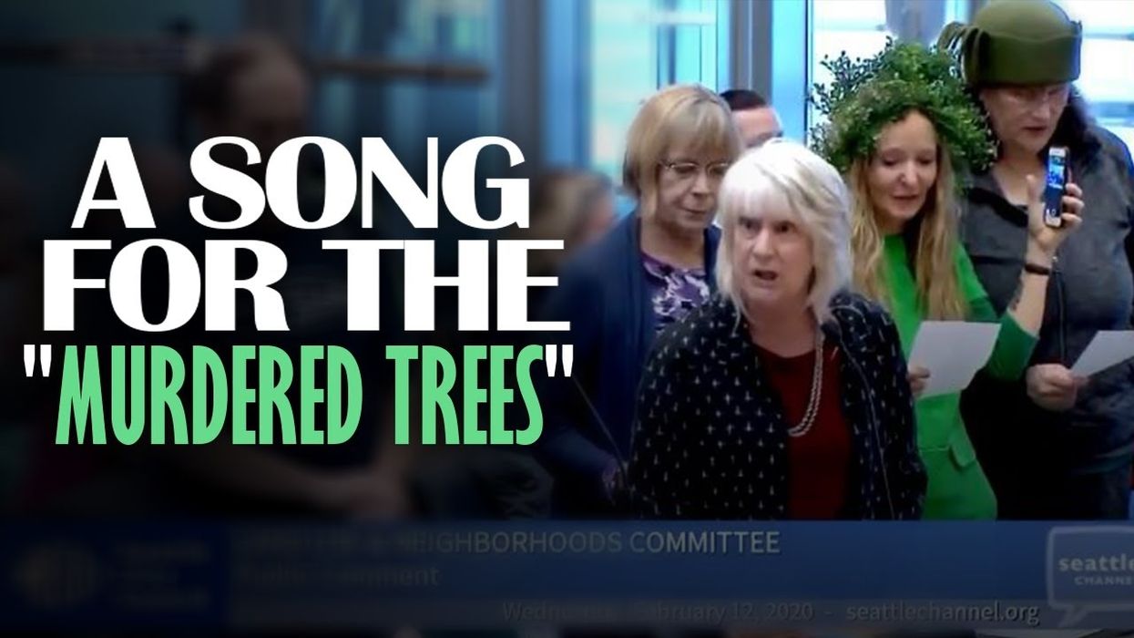 SEATTLE CITY COUNCIL GOES CRAZY: Citizens create, sing song to murdered trees...