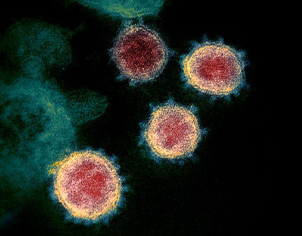 The Corona Virus's Deadly Consequences Spread Chaos