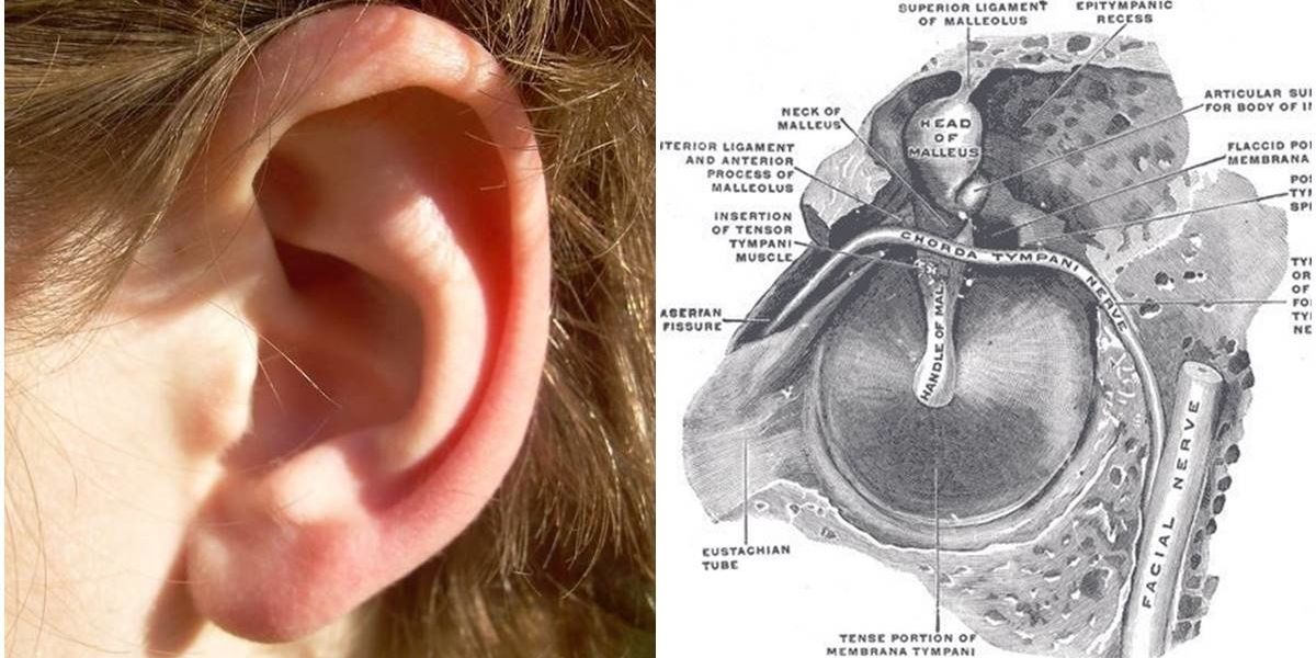 Ear rumbling is a special 'superpower' that not everyone has