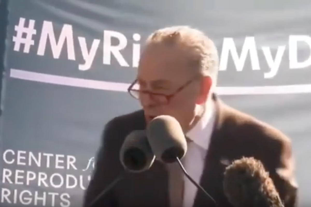 Chuck Schumer Assaults Supreme Court Justices With ... Their Own Words