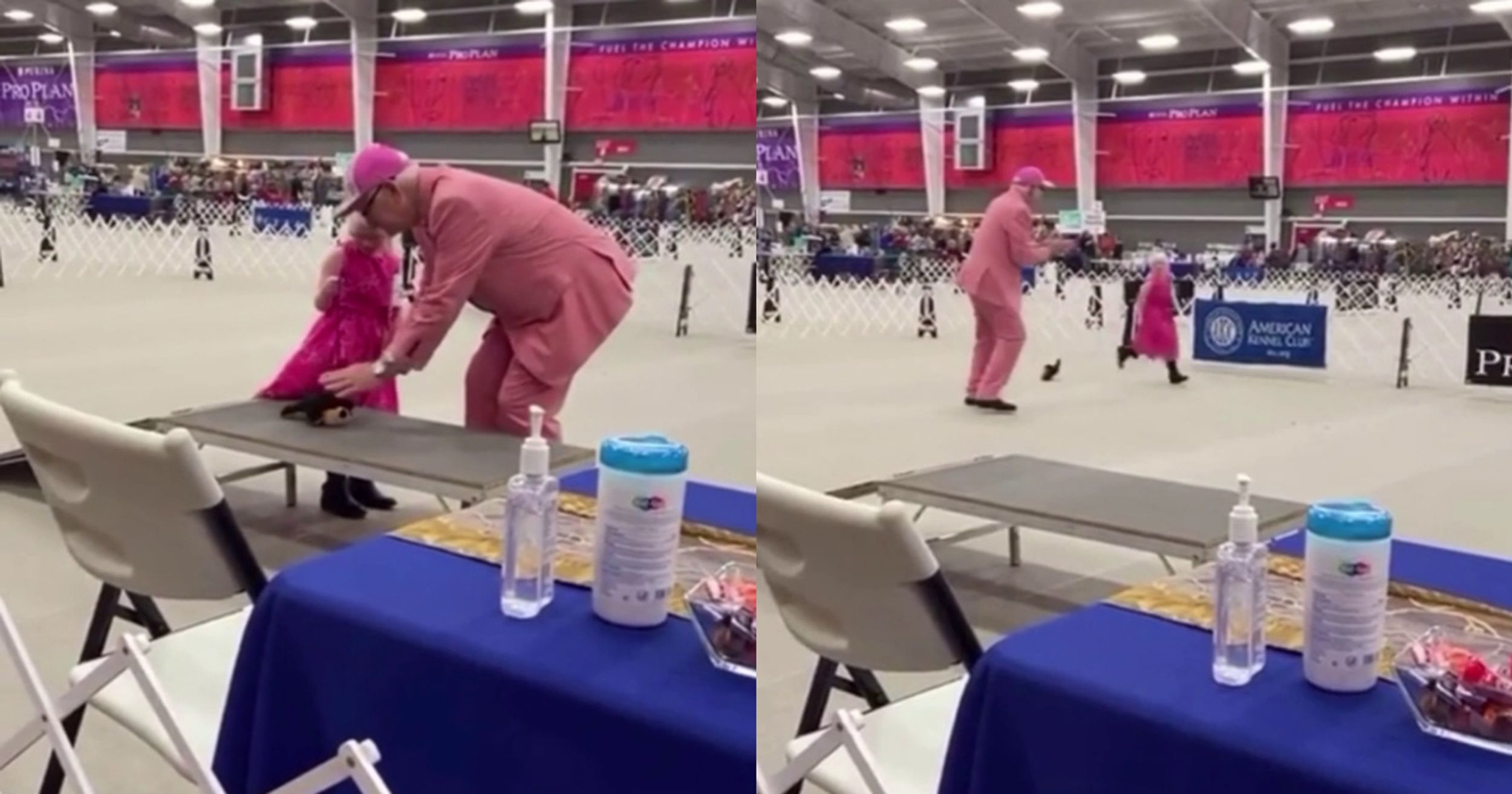 Dog Show Judge Makes Little Girl With Autism's Day By Letting Her Show Her Stuffed Animal Dog