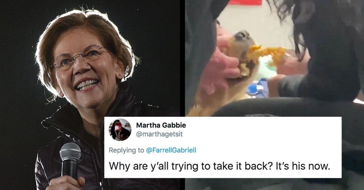 Elizabeth Warren's Dog Swiped Someone's Burrito After She Dropped Out Of The Presidential Race, And We're Right There With You Bailey
