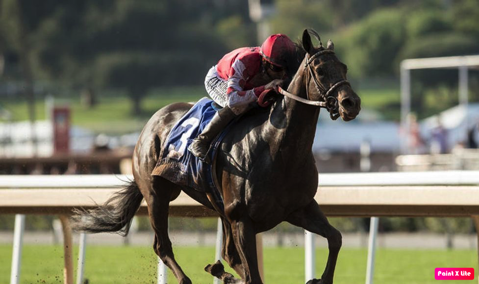 Sam Houston Race Park selections for Friday, March 13