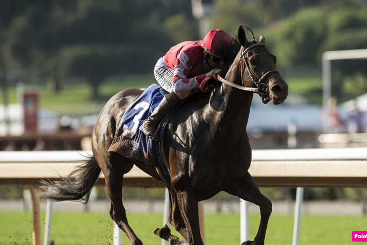 Sam Houston Race Park selections for Friday, March 13