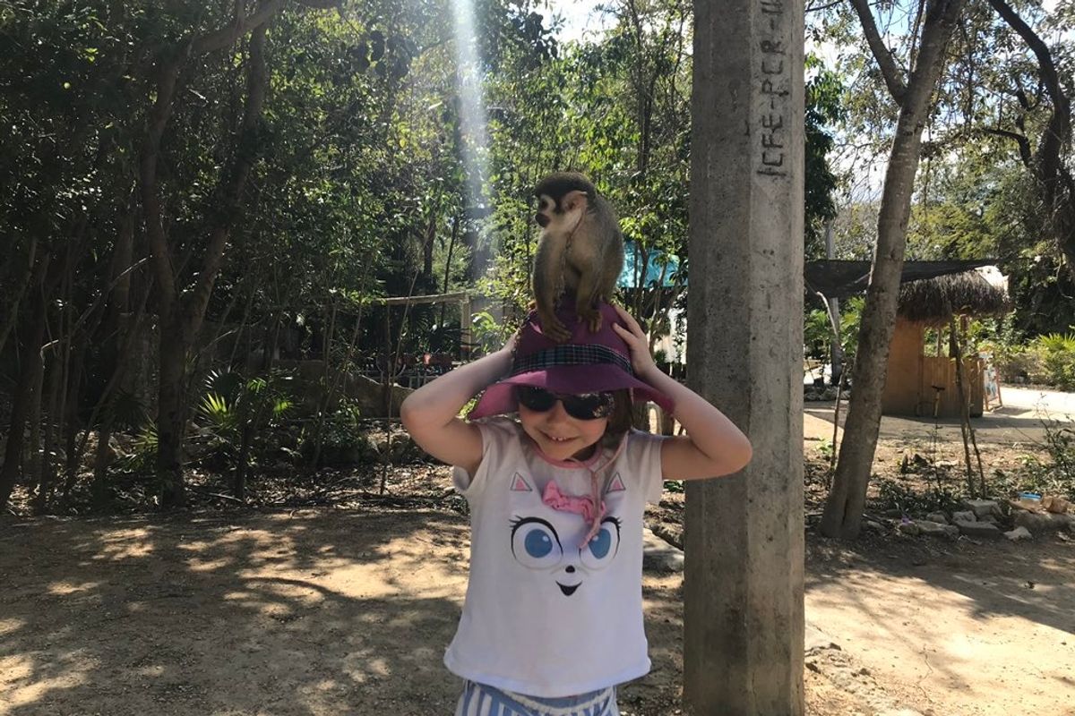 Wonkette's Weekly Top 10 Has A MONKEY ON ITS HEAD!