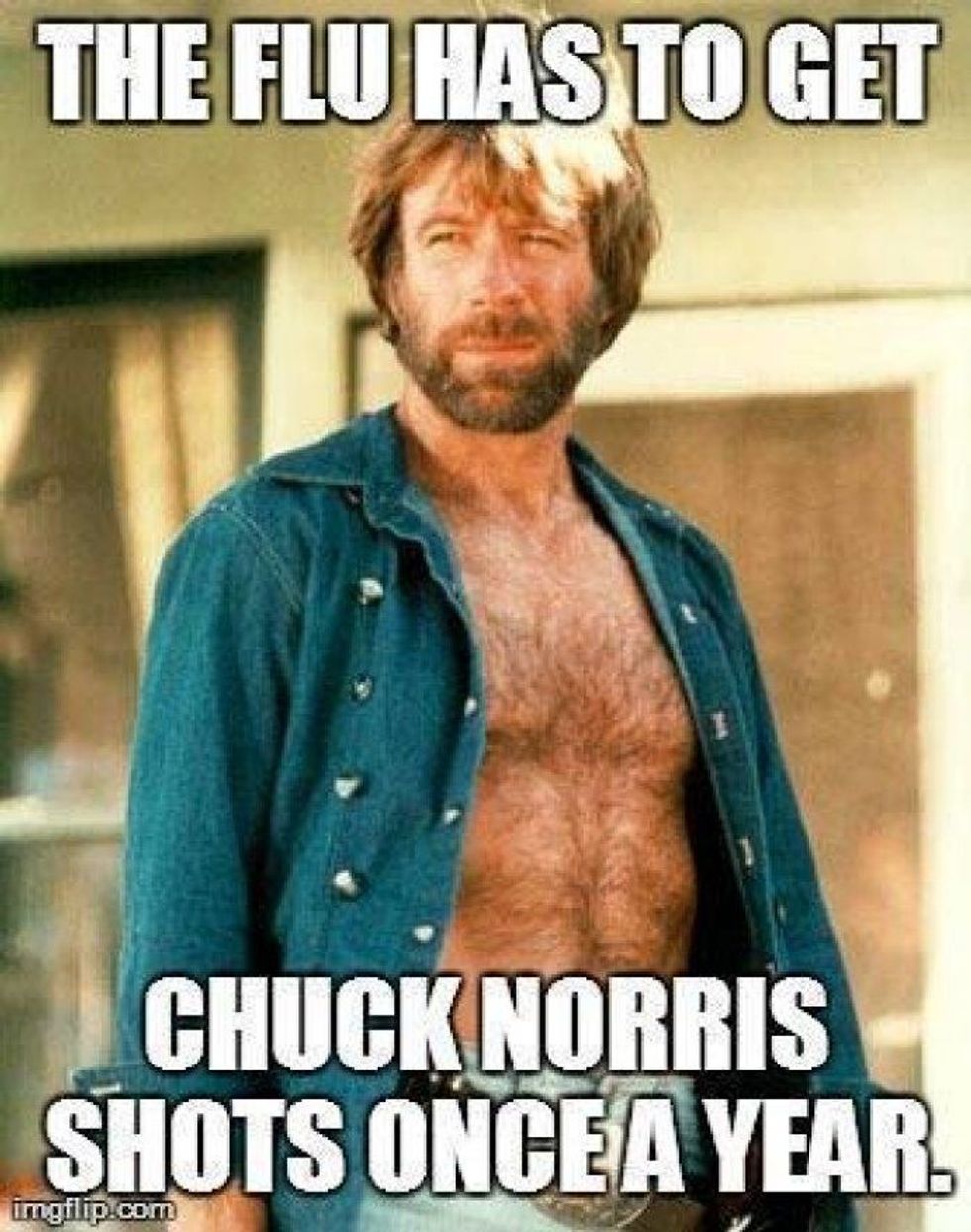 "The flu has to get Chuck Norris shots once a year." 
