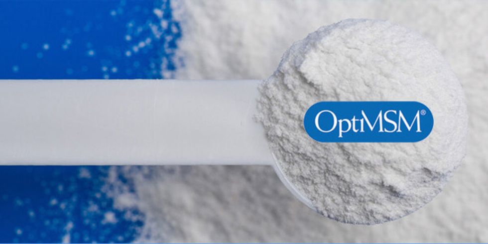 What is msm powder and why you should take it