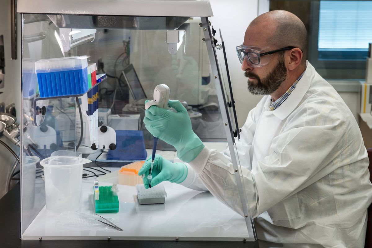 How does the coronavirus test work? 5 questions answered