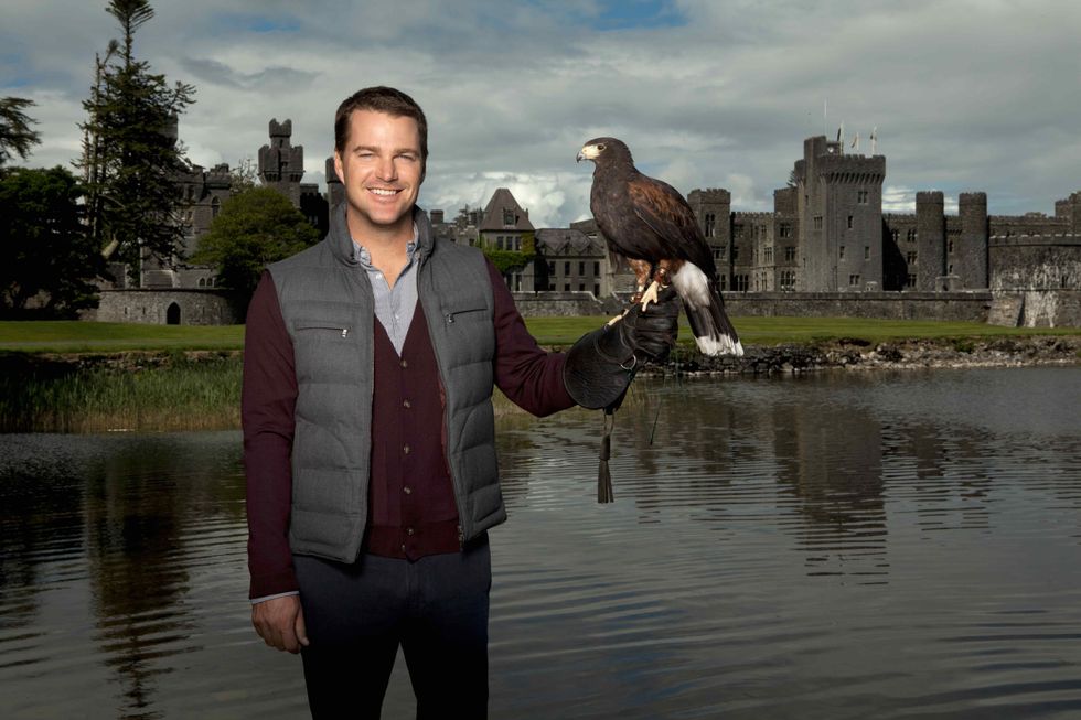 Chris O'Donnell tries falconry while visiting Ireland.