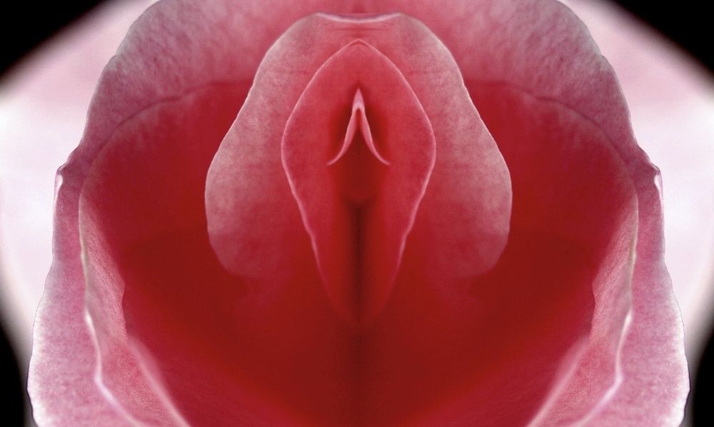 7 Facts About Your Clitoris, Clitoral Hood image