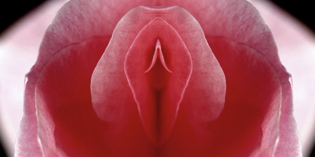 7 Reasons You Should TOTALLY Be In Love With Your Clitoral Hood