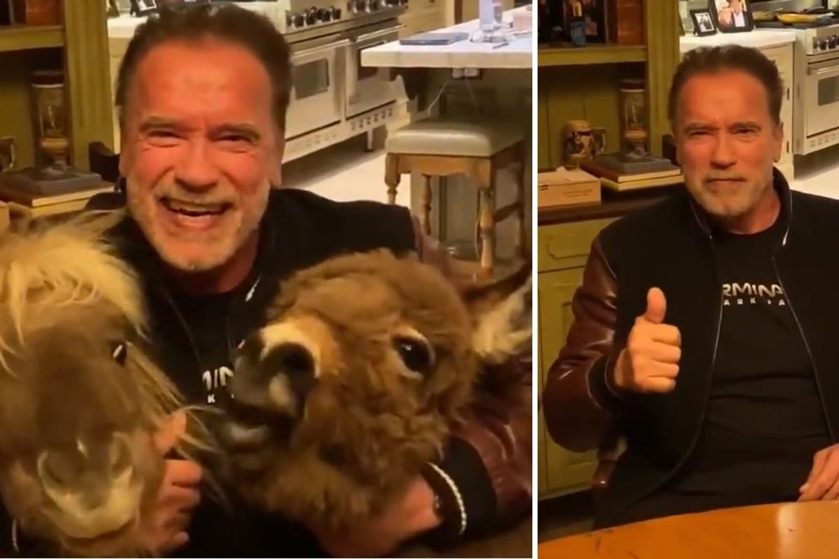 Arnold with Whiskey and Lulu