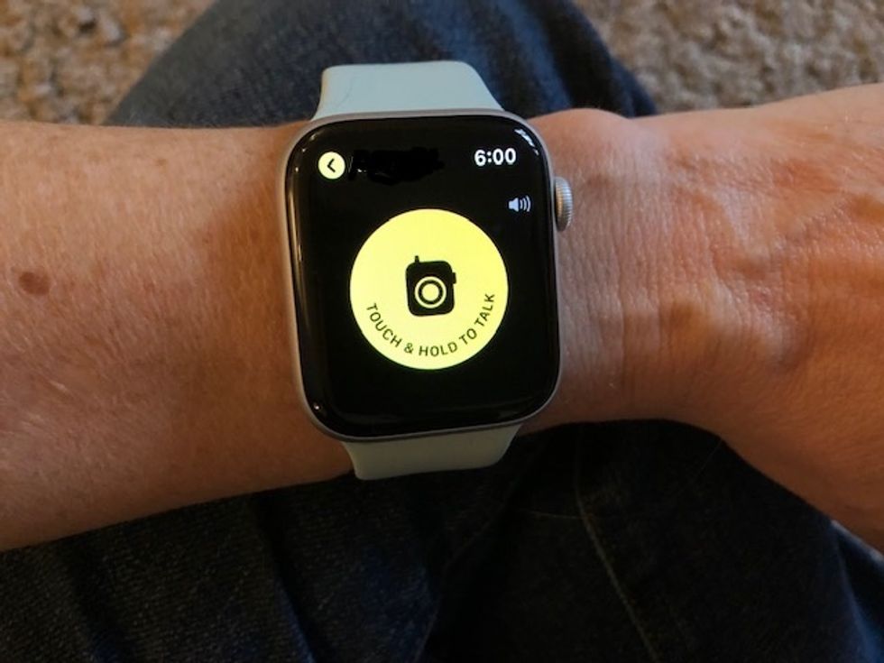 walkie talkie feature apple watch