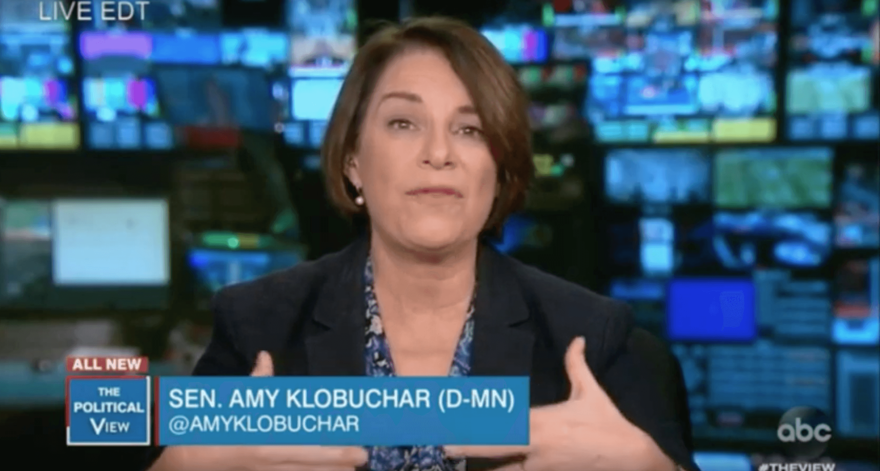Amy Klobuchar Shows The Love For Uncle Joe, Even Bernie, On ‘The View'