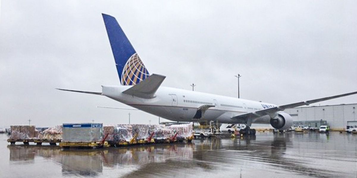 United's CargoOnly Flights Support Customers United Hub