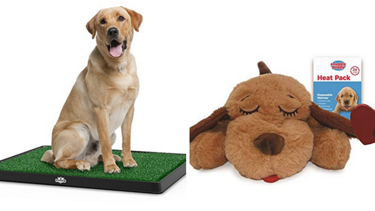 10 Cute Puppy Items to Spoil Your Favorite Dog