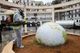 Coronavirus Politics Daily: Trump's grim trade-off, corona vs protests, and a boon for Kenya's fishermen