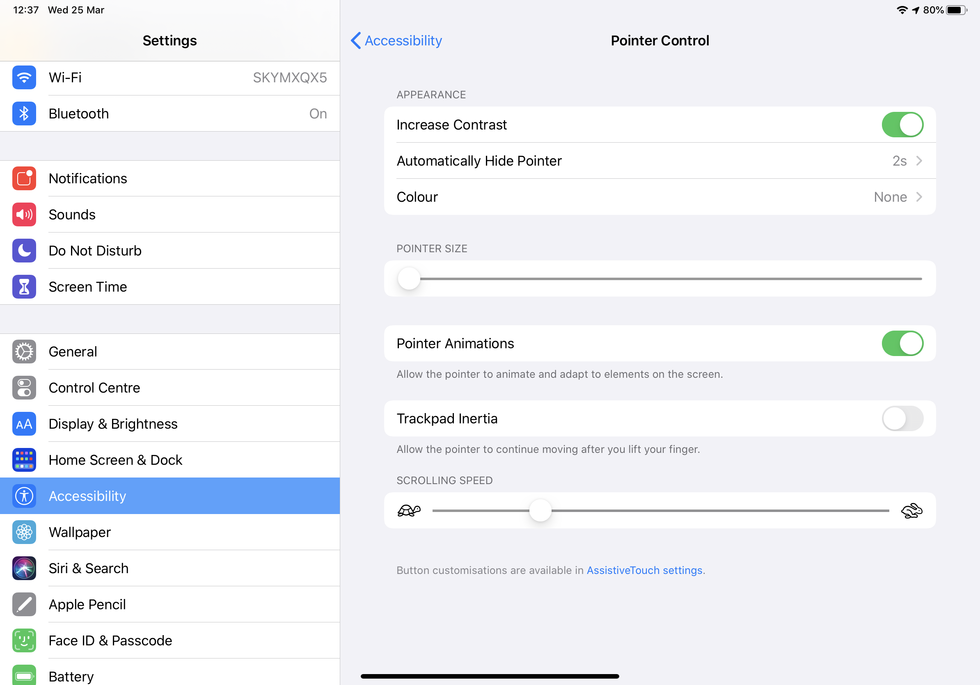 iPad trackpad settings