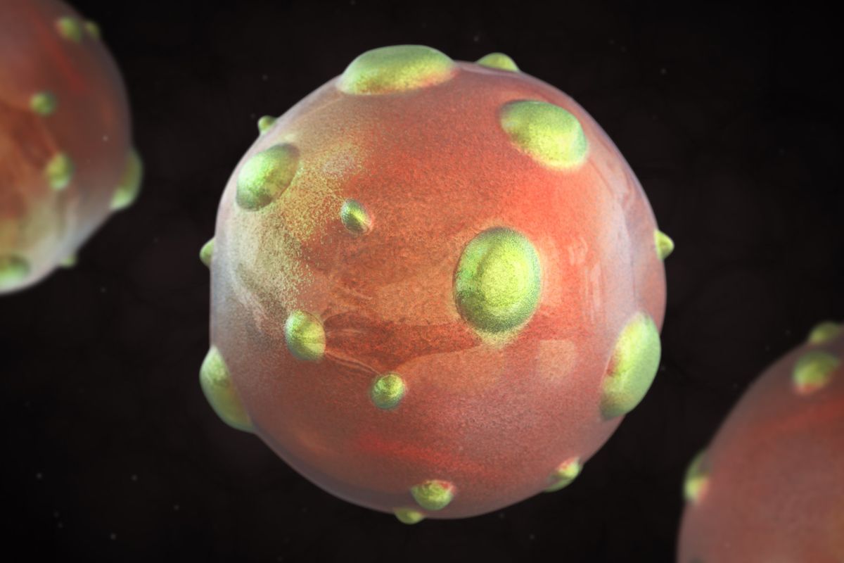 Una nuova minaccia arriva dai topi. Paura per il morto da hantavirus