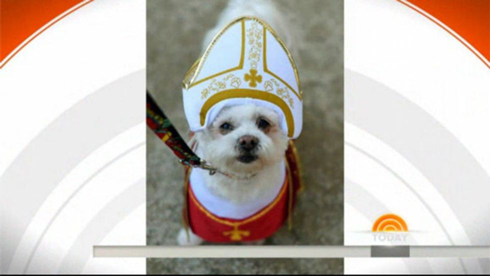 Endorse This: All Dogs Go To Heaven — It’s Official!