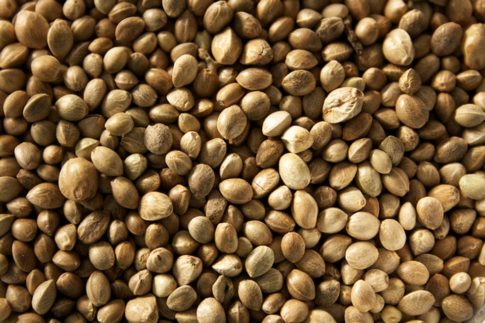 Maligned Hemp Seed Has A Raft Of Health, Environmental Benefits