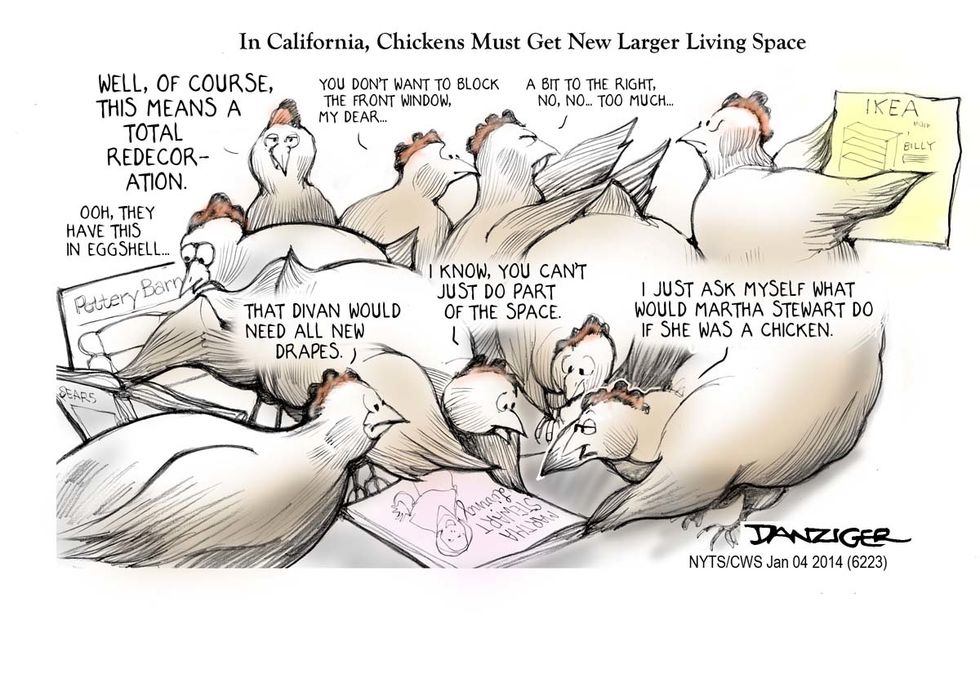 Cartoon: A Big Change For California Chickens
