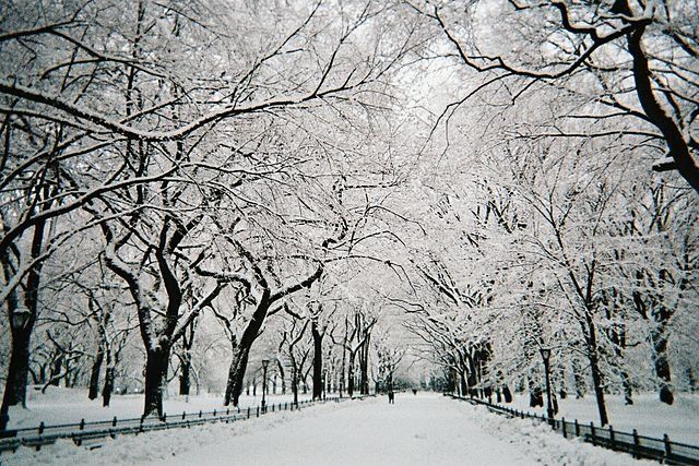 Public parks 