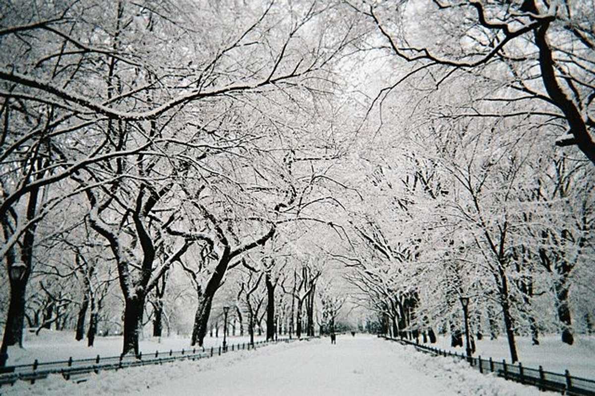 Public parks