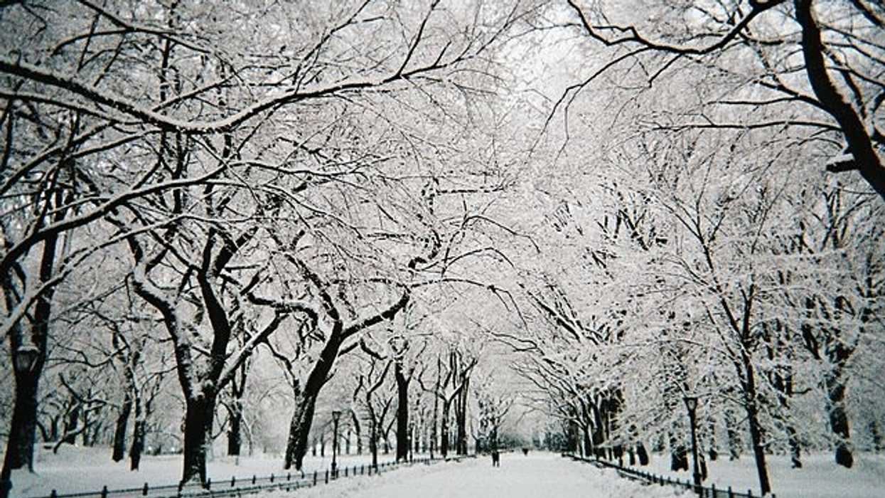 Public parks