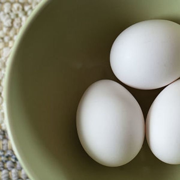 Rising Egg Prices