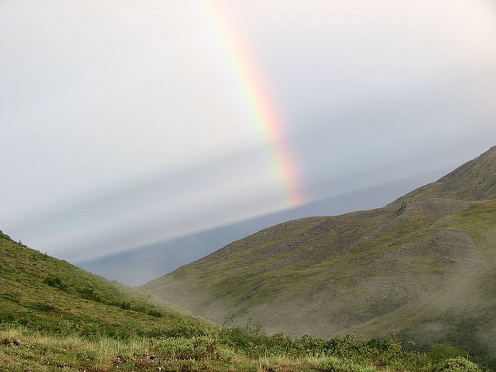 Congress: Protect Wildlife Refuge From Alaska’s Greed