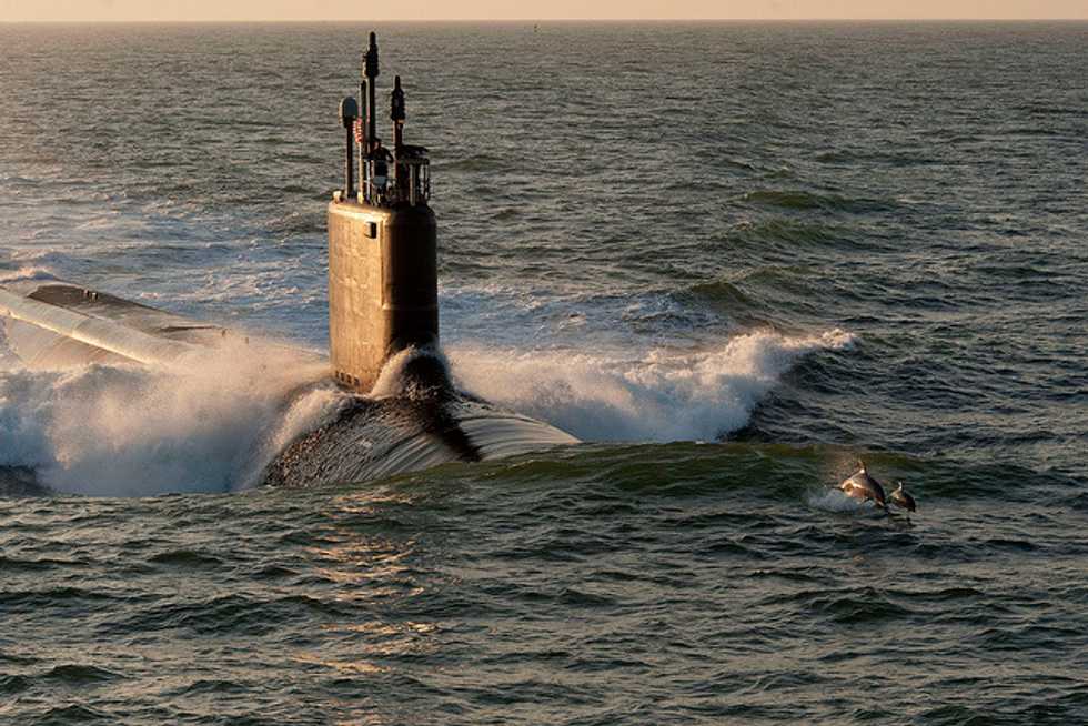 Judge Rules Navy Underestimated Threat To Marine Mammals From Sonar