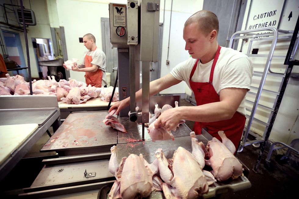 Inmates To Butchers: Bill Would Create Meat Processing Program
