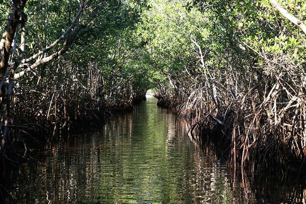 Obama To Visit Everglades On Wednesday, Highlight Climate Change Threat