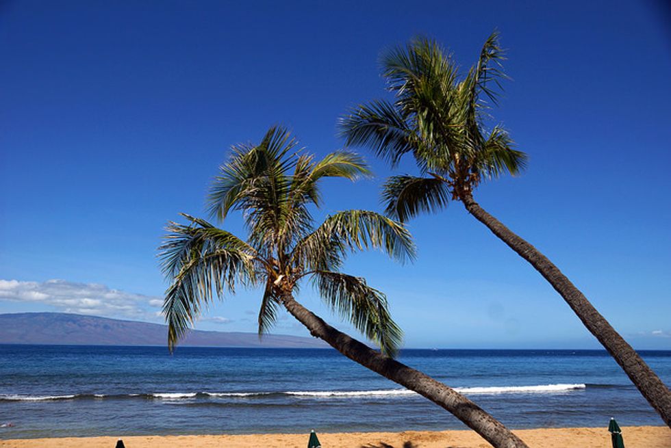 Woman Dies In Hawaii Shark Attack