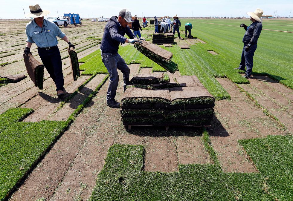 Southern California Saying Goodbye To Lawns