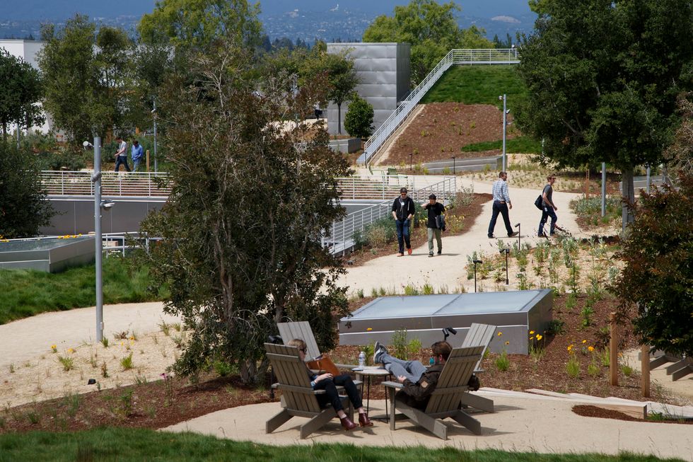 Facebook’s Green Roof Mirrors Company’s Workplace Culture