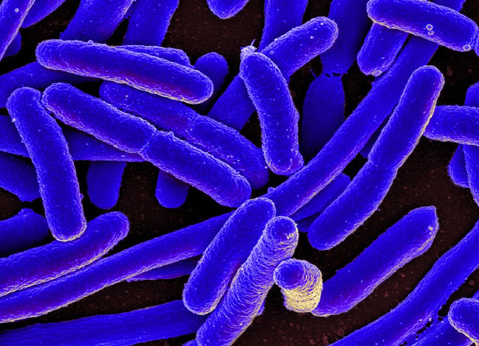 This Week In Health: Tipping Point With ‘Superbugs’